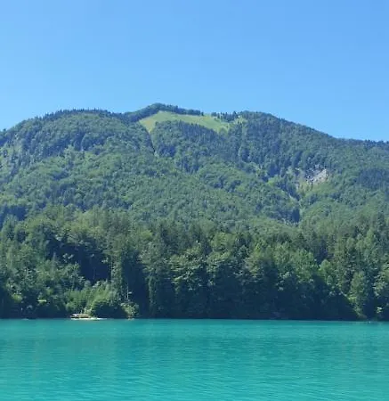 Am Fuschlsee * Fuschl am See