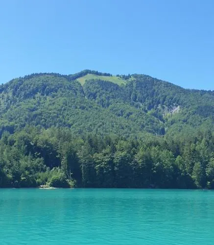 Am Fuschlsee * フシュル・アム・ゼー